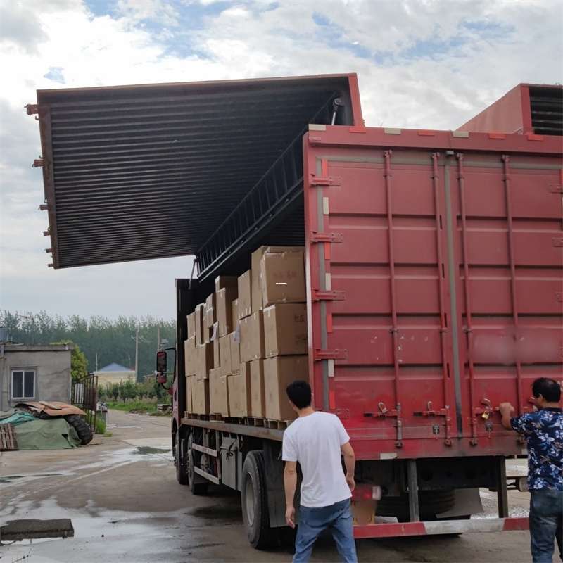 河北区扎囊县：物流专线的高效货运之旅